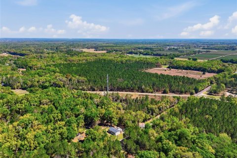 Land in Archer, Florida № 2267306 - photo 2