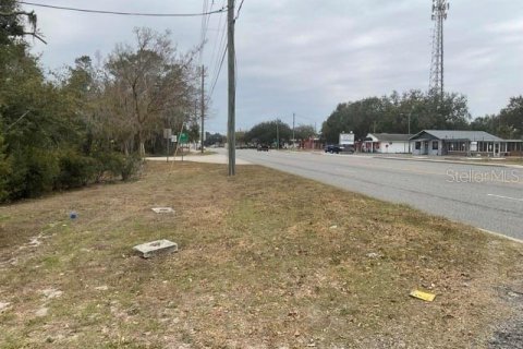 Immobilier commercial à vendre à Leesburg, Floride: 623.19 m2 № 2108154 - photo 7