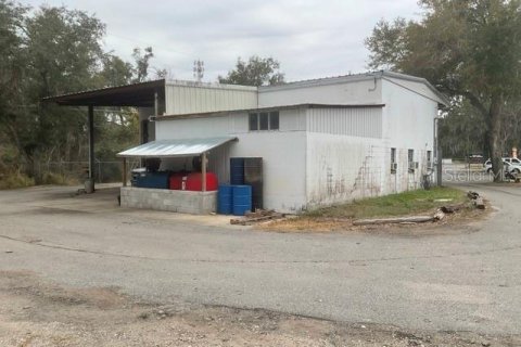 Immobilier commercial à vendre à Leesburg, Floride: 623.19 m2 № 2108154 - photo 2