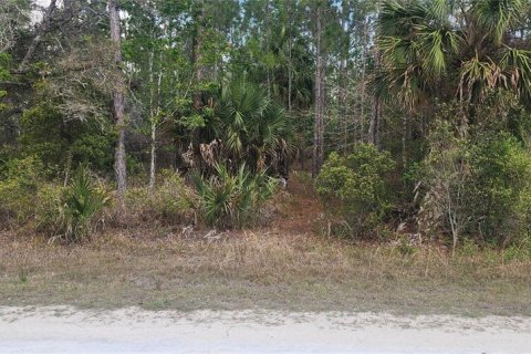 Terreno en Weeki Wachee, Florida № 2166974