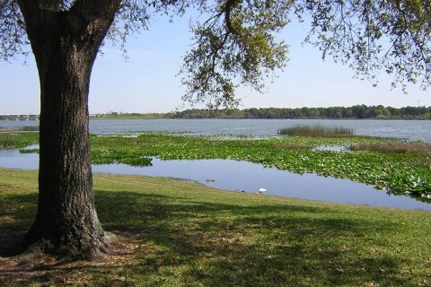 Touwnhouse à louer à Seminole, Floride: 2 chambres, 94.3 m2 № 2113817 - photo 18