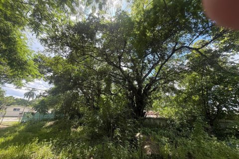 Купить земельный участок в Норт-Майами, Флорида № 1970014 - фото 4