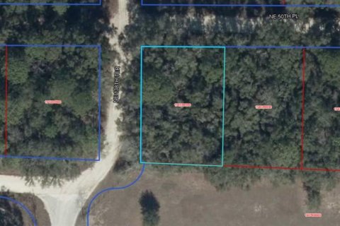 Land in Williston, Florida № 2161569