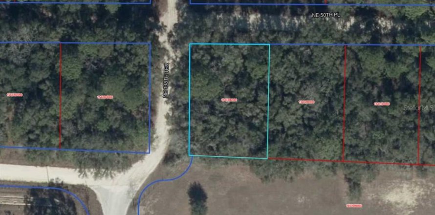 Land in Williston, Florida № 2161569