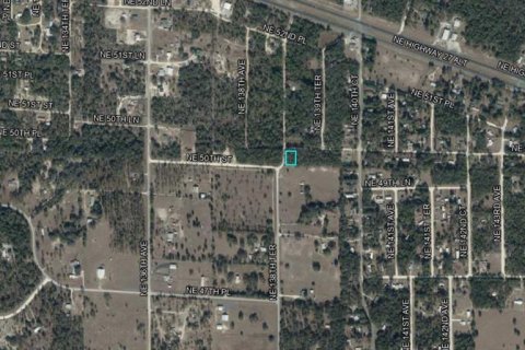 Land in Williston, Florida № 2161569 - photo 3