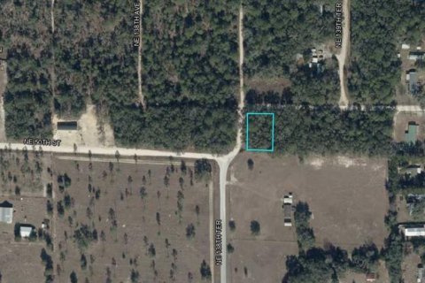 Land in Williston, Florida № 2161569 - photo 2