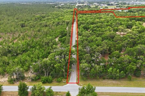 Terrain à vendre à Apopka, Floride № 2098719 - photo 3