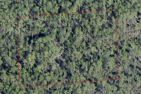 Land in Osteen, Florida № 2159098