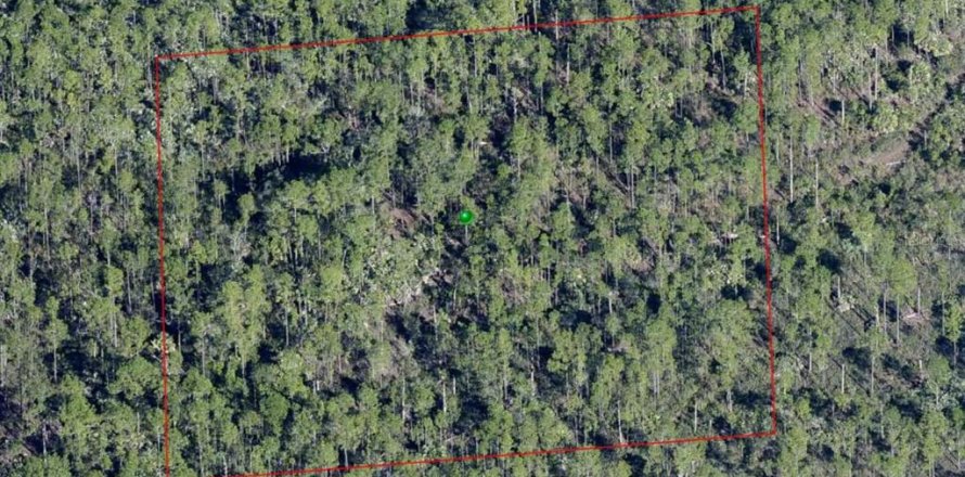 Land in Osteen, Florida № 2159098
