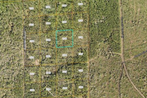 Land in Osteen, Florida № 2159098 - photo 2