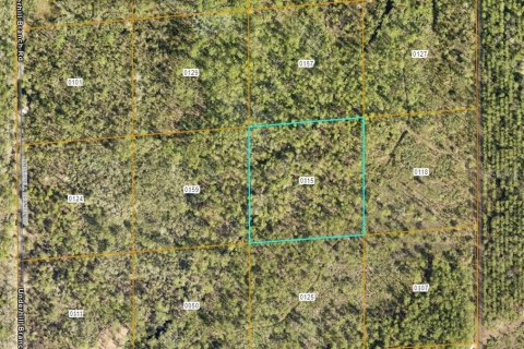 Land in Osteen, Florida № 2159098 - photo 3