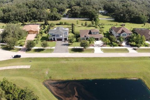 Villa ou maison à vendre à Lutz, Floride: 5 chambres, 419.92 m2 № 1851702 - photo 11