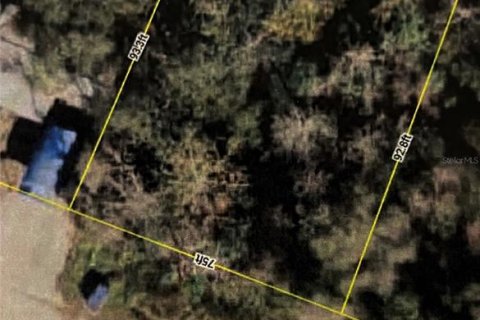 Terreno en Altoona, Florida № 2164435