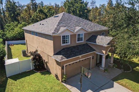 Villa ou maison à vendre à Lutz, Floride: 4 chambres, 274.06 m2 № 2431869 - photo 2