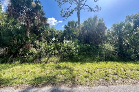 Land in Port Charlotte, Florida № 2159960