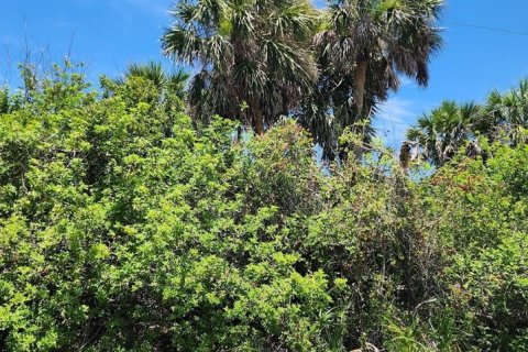Land in Rotonda, Florida № 2164170 - photo 2
