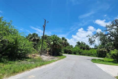 Land in Rotonda, Florida № 2164170 - photo 5