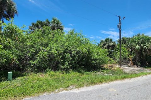 Land in Rotonda, Florida № 2164170 - photo 6