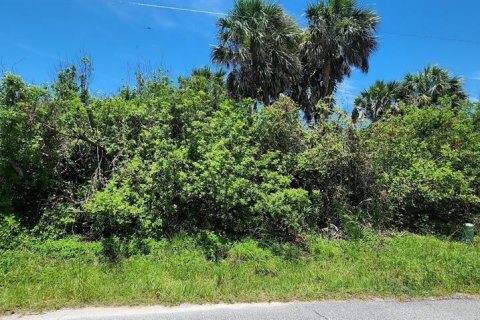 Land in Rotonda, Florida № 2164170 - photo 3