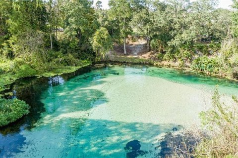Villa ou maison à vendre à Weeki Wachee, Floride: 4 chambres, 522.2 m2 № 2411473 - photo 2