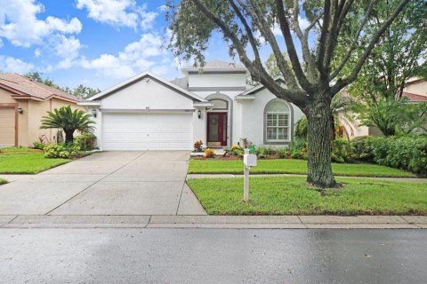 Villa ou maison à vendre à Valrico, Floride: 4 chambres, 199.93 m2 № 2410381 - photo 10