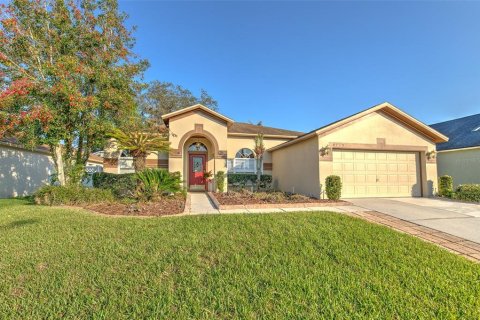 House in Valrico, Florida 4 bedrooms, 206.89 sq.m. № 2151420