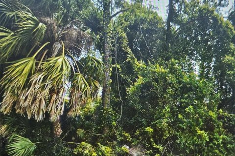 Land in Port Charlotte, Florida № 2158839 - photo 3