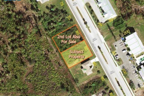 Terreno en venta en Rotonda, Florida № 1543998 - foto 1