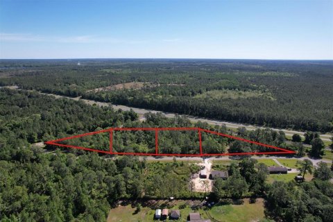 Land in Hawthorne, Florida № 1868917 - photo 8