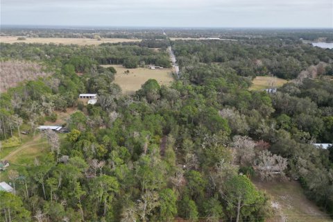 Terrain à Eustis, Floride № 2095226