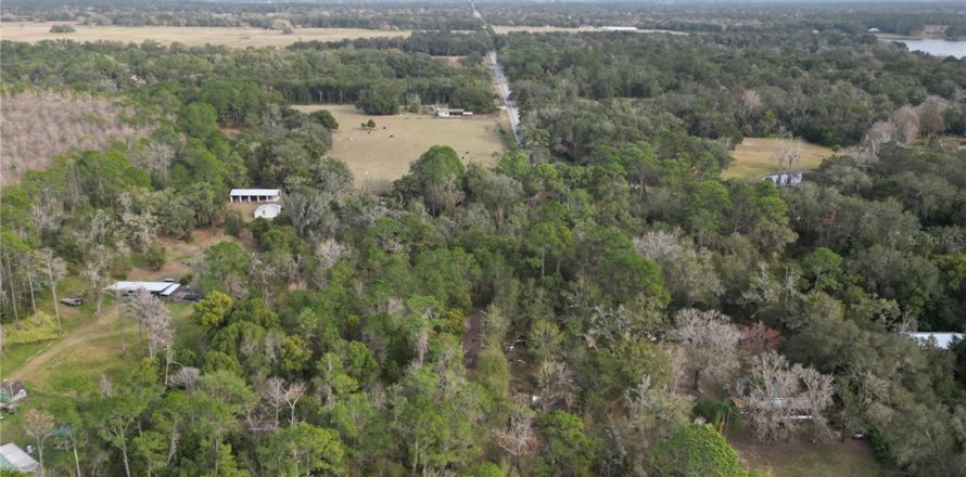 Terrain à Eustis, Floride № 2095226