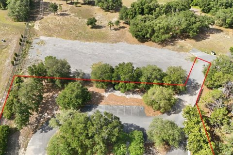 Купить коммерческую недвижимость в Гроувленд, Флорида 537.63м2, № 2147507 - фото 20