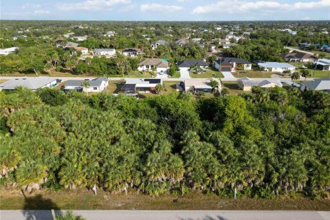 Land in Port Charlotte, Florida № 2159900 - photo 13