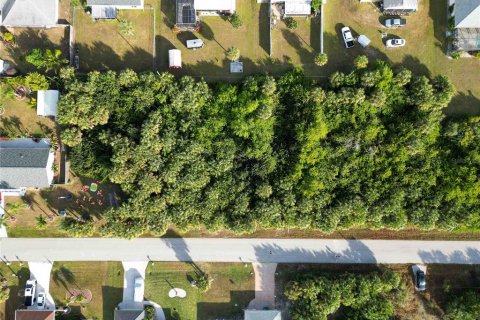 Land in Port Charlotte, Florida № 2159900 - photo 5