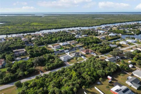 Land in Port Charlotte, Florida № 2159900 - photo 19