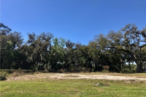 Land in DeBary, Florida № 213284 - photo 7