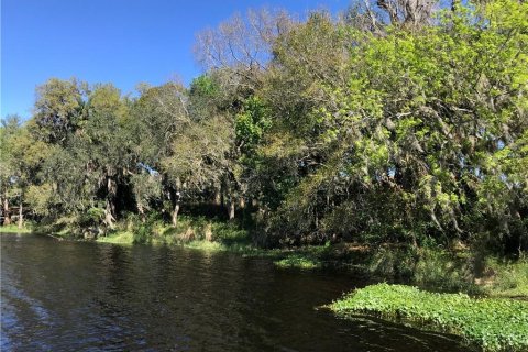 Land in DeBary, Florida № 213284 - photo 9
