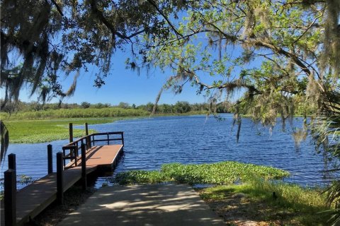 Land in DeBary, Florida № 213284 - photo 10