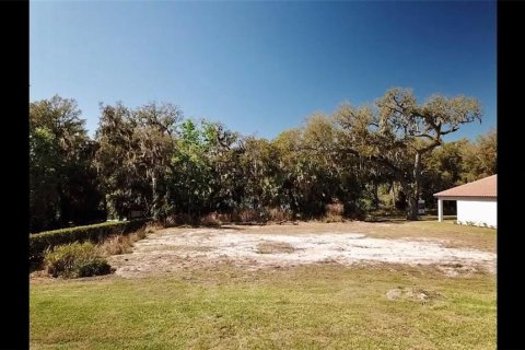 Land in DeBary, Florida № 213284 - photo 5