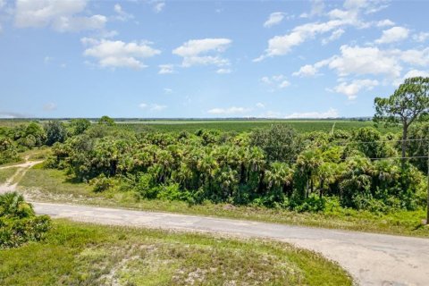 Terreno en venta en Lehigh Acres, Florida № 1884072 - foto 16