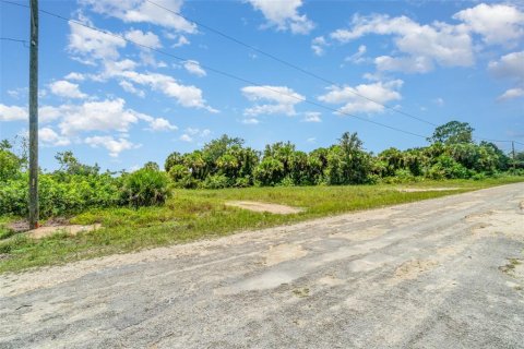 Terreno en venta en Lehigh Acres, Florida № 1884072 - foto 17