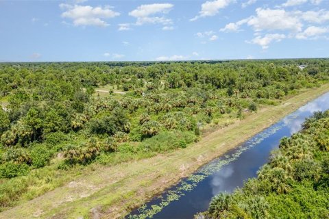 Terreno en venta en Lehigh Acres, Florida № 1884072 - foto 12