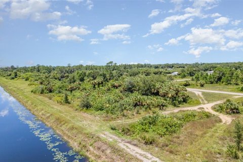 Terreno en venta en Lehigh Acres, Florida № 1884072 - foto 13