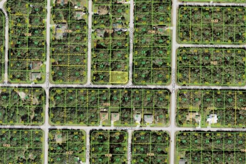 Land in Port Charlotte, Florida № 2165801 - photo 2