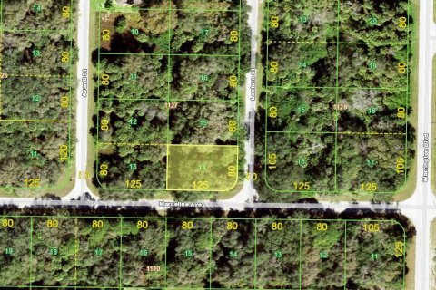 Land in Port Charlotte, Florida № 2165801