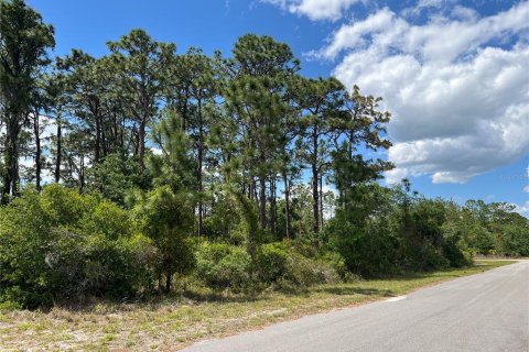 Land in Indian lake estates, Florida № 2160851