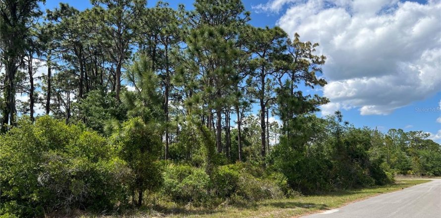 Land in Indian lake estates, Florida № 2160851