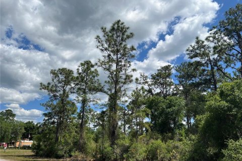 Land in Indian lake estates, Florida № 2160851 - photo 2