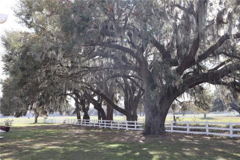 Land in Webster, Florida № 1522198 - photo 14