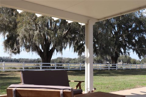 Land in Webster, Florida № 1522198 - photo 7